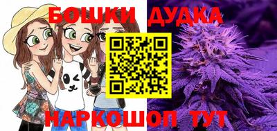 PSILOCYBIN Ирбит