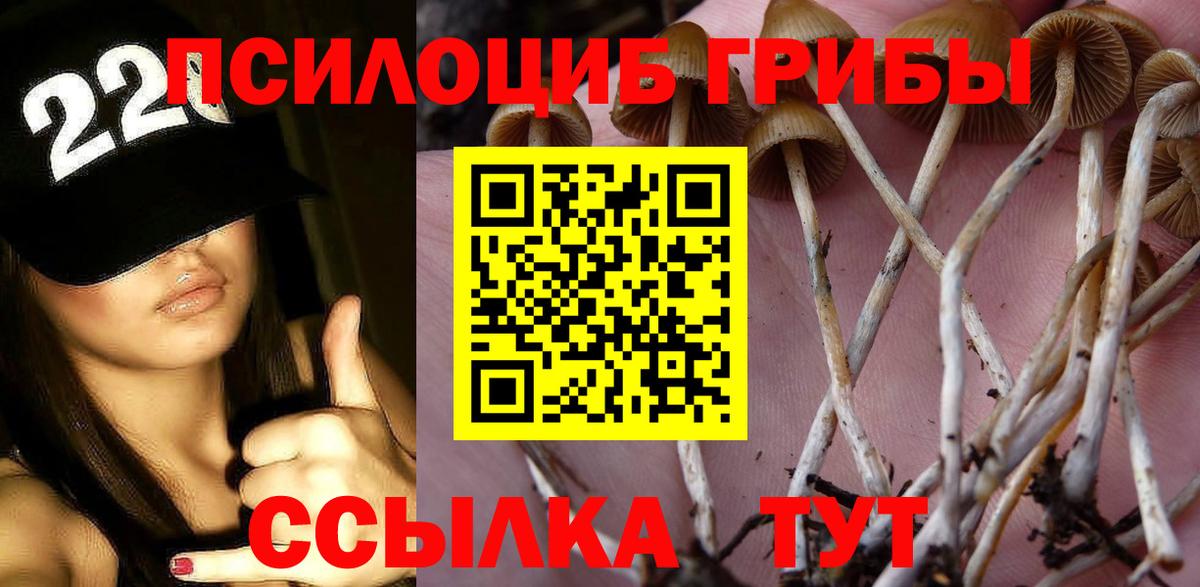 Лабинск  Псилоцибиновые грибы мухоморы  Вход с VPN 